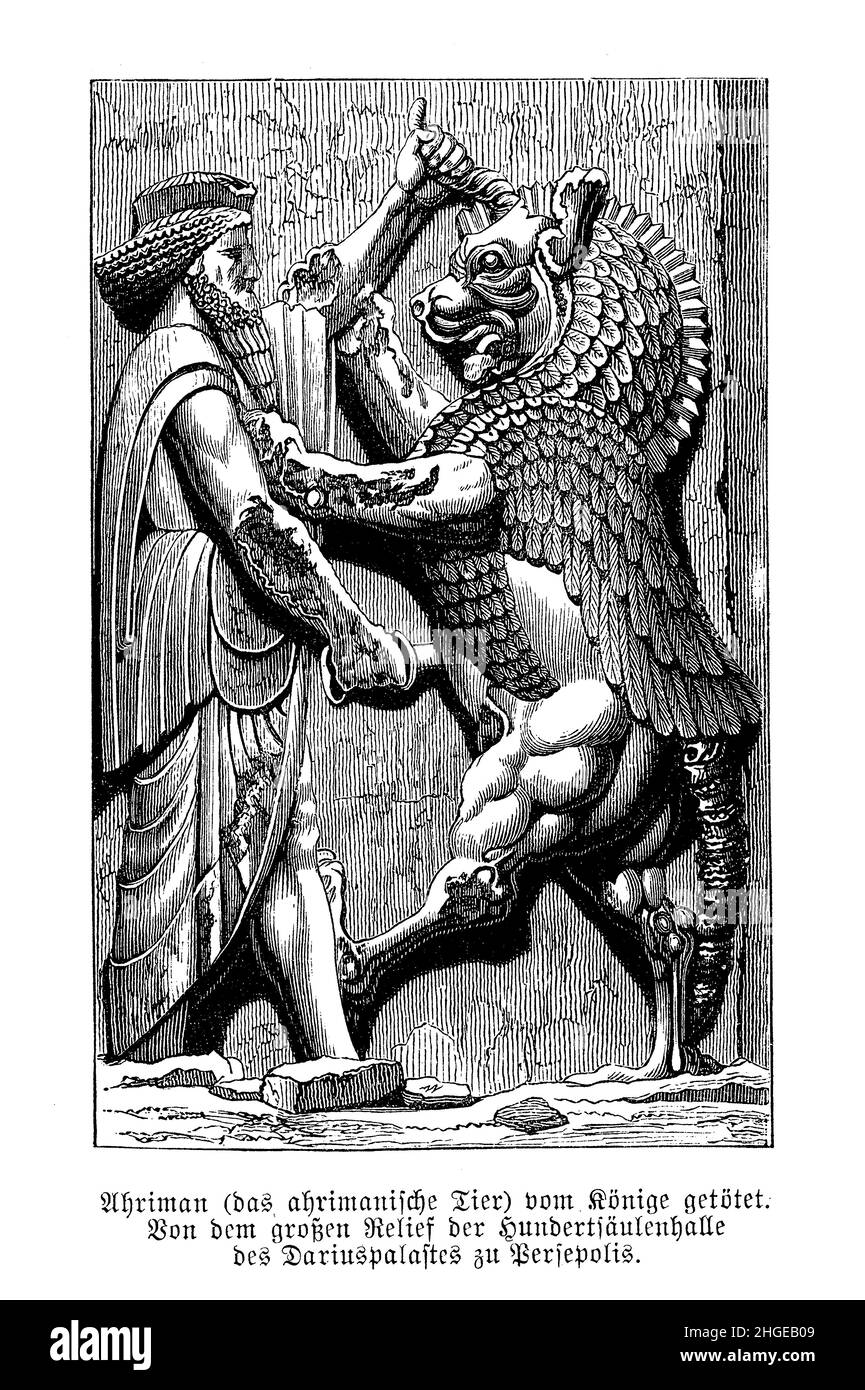 Le roi Perse Darius le grand tue le lion Ahriman, bas-relief de la salle de 100 colonnes du palais à Persepolis Banque D'Images