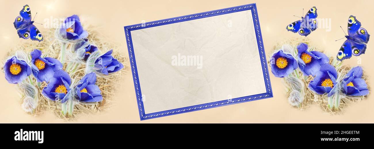 Arrière-plan panoramique non focalisé avec un bloc de texte, des papillons teintés et des gouttes d'eau bleues en fleurs.Design artistique, bannière Banque D'Images
