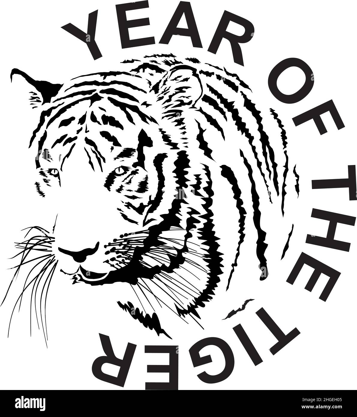 Année du tigre Banque d'images vectorielles Alamy