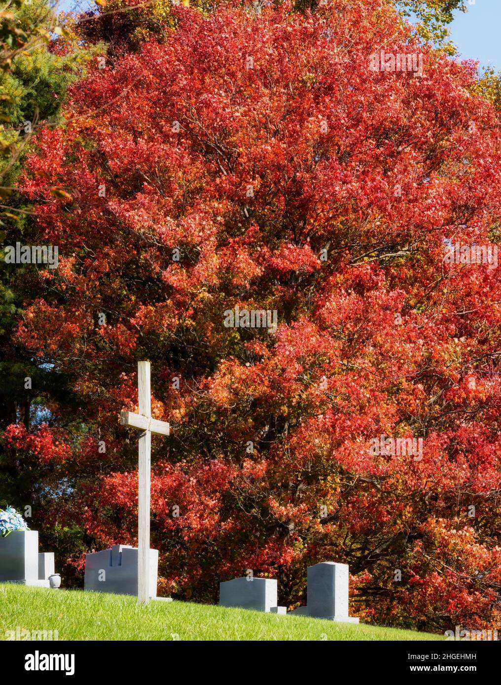 Cimetière sur une colline avec des arbres d'automne rouge vif dans le Tennessee rural Banque D'Images