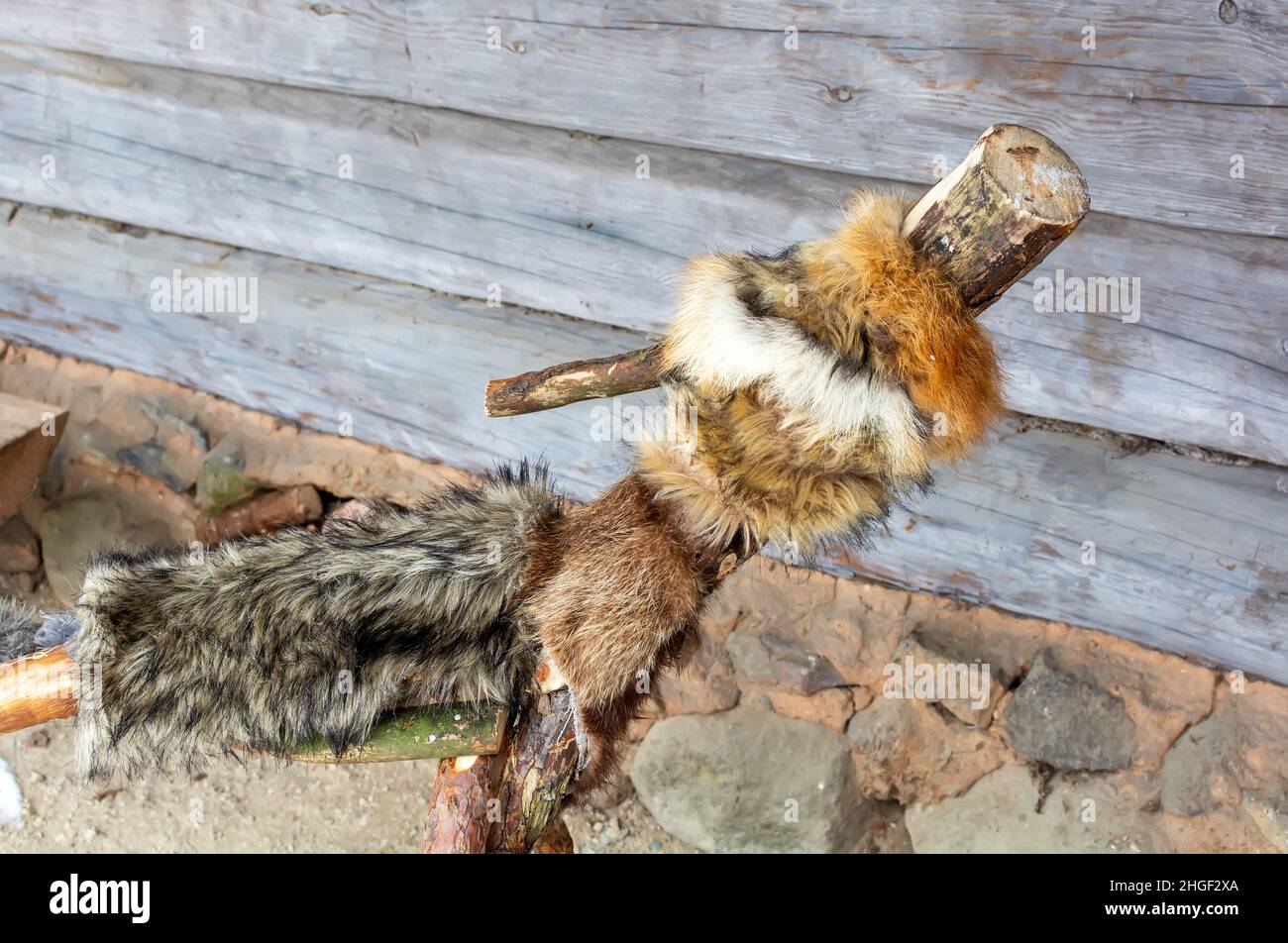 Meteņi figurine symbolisant un loup debout dans une cabane en rondins Banque D'Images