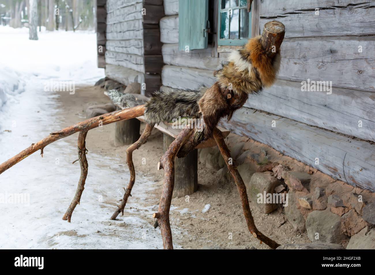 Meteņi figurine symbolisant un loup debout dans une cabane en rondins Banque D'Images
