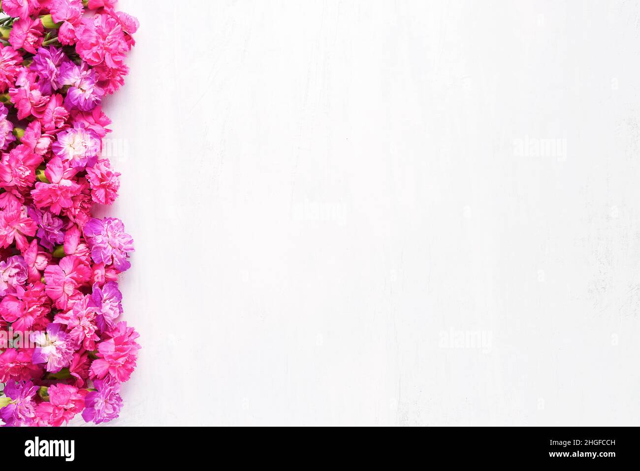 Les fleurs d'œillets roses bordent un fond en bois blanc.Concept de la Fête des mères, de la Saint-Valentin.Vue de dessus, espace de copie Banque D'Images