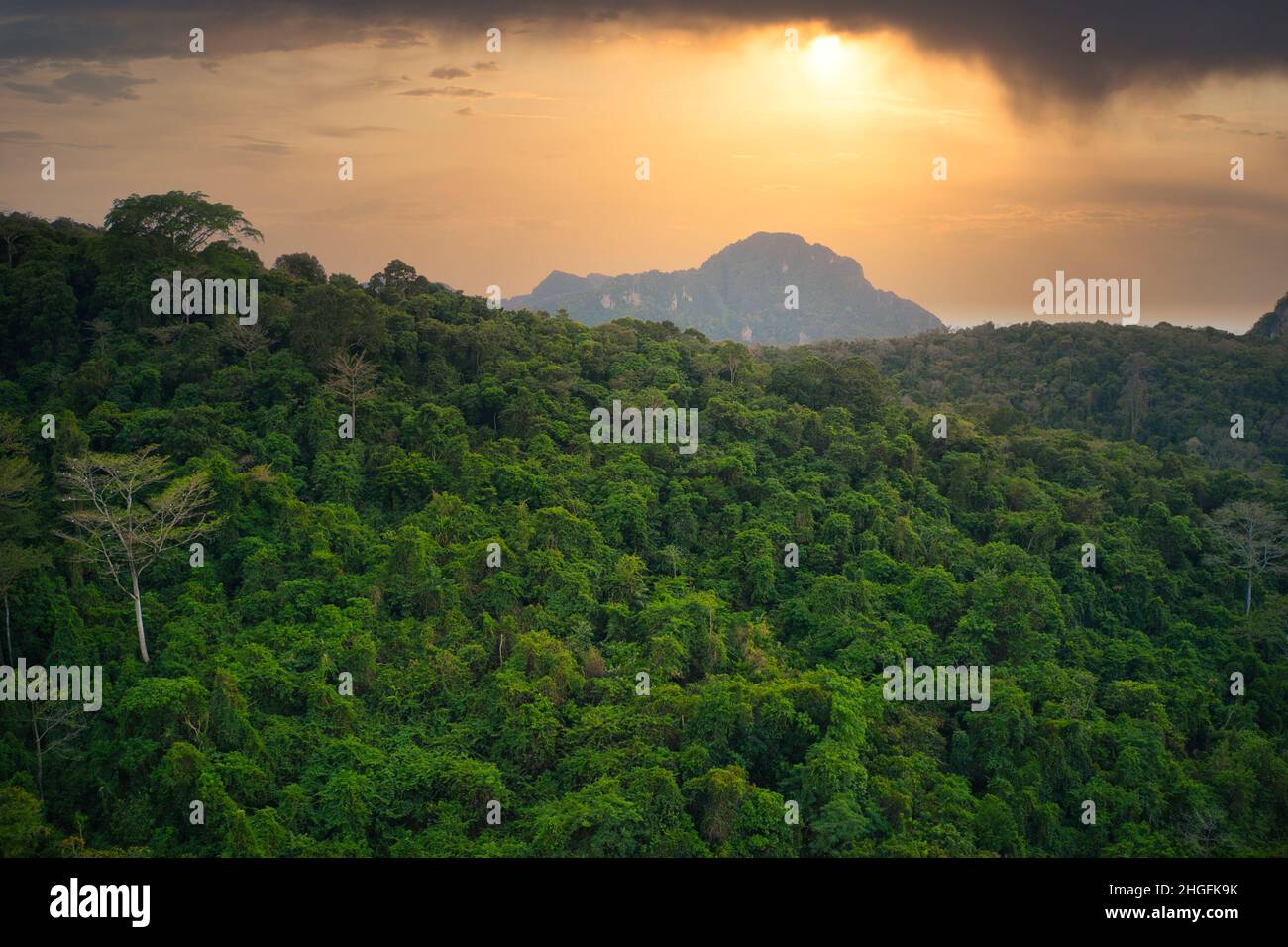 Magnifique coucher de soleil derrière les montagnes de Koh Phi Phi à Tahiland et en premier plan la jungle verte immaculée de l'île. Banque D'Images