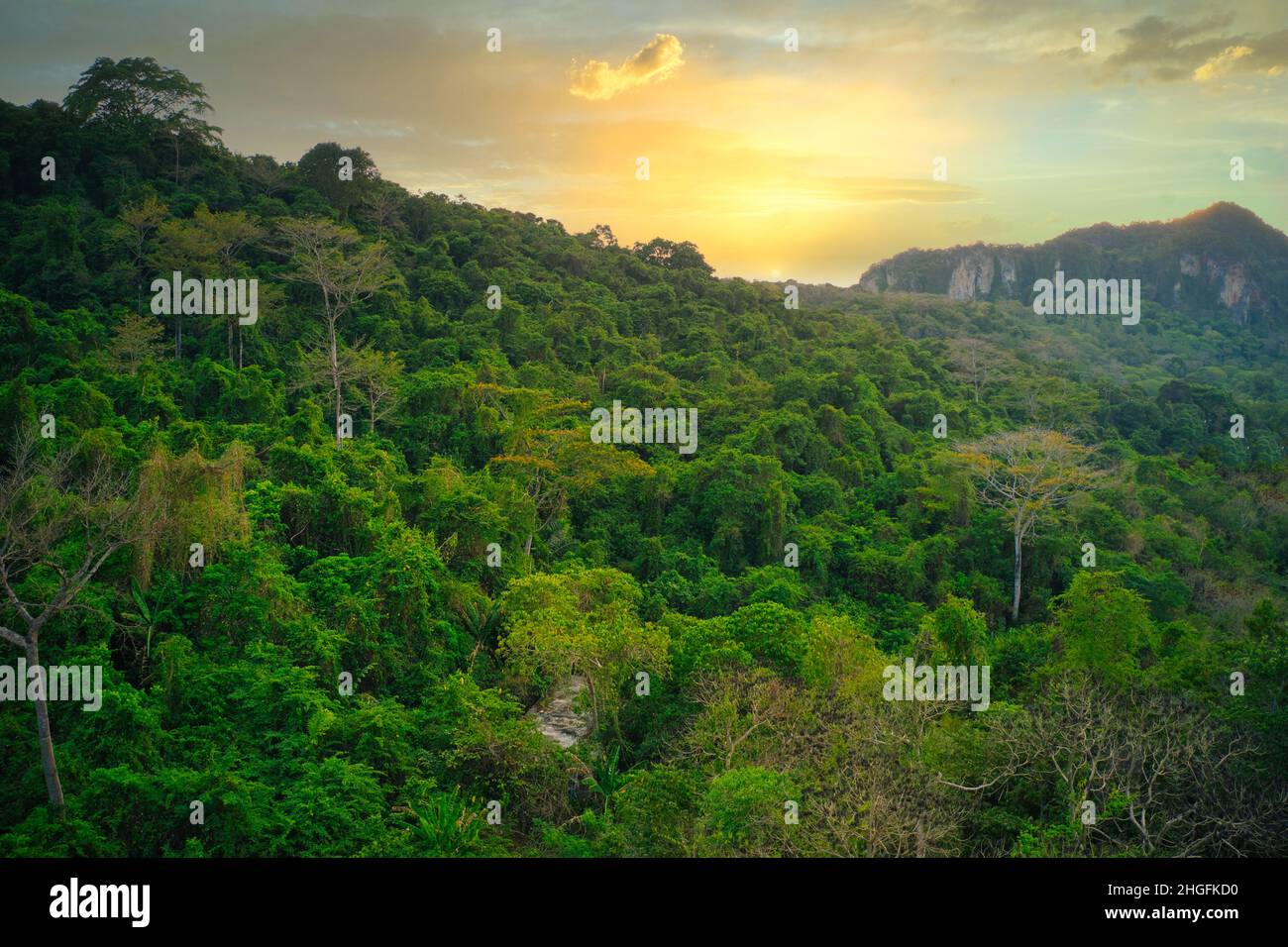 Magnifique coucher de soleil derrière les montagnes de Koh Phi Phi à Tahiland et en premier plan la jungle verte immaculée de l'île. Banque D'Images
