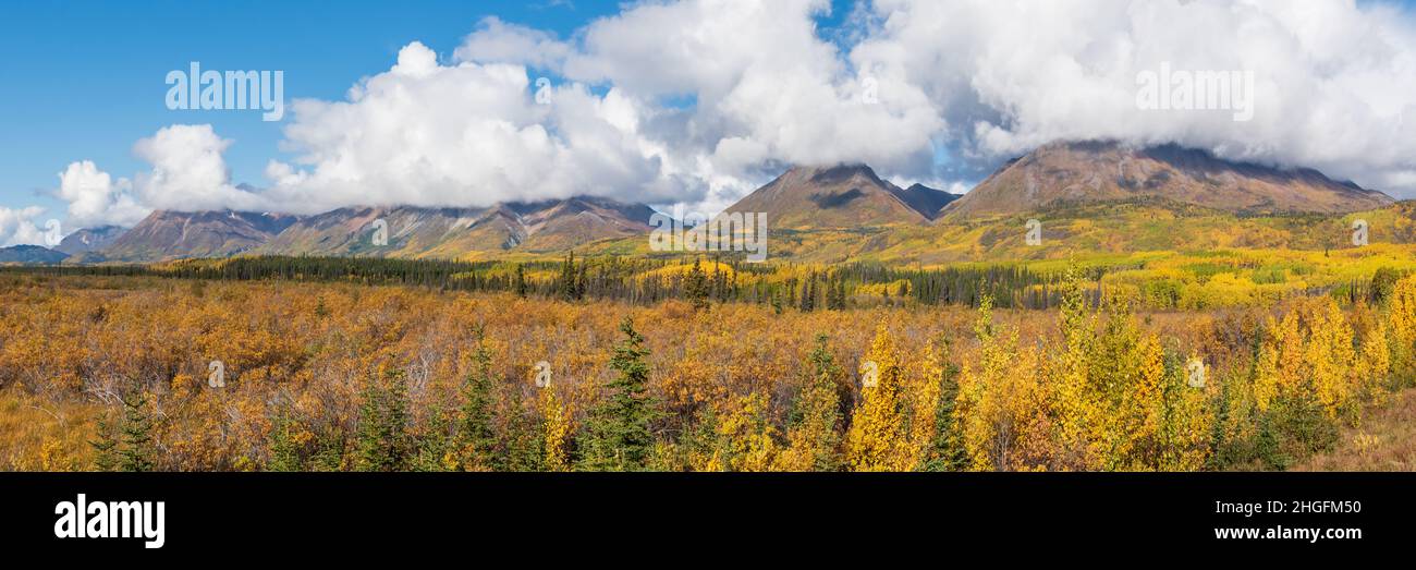 Paysage panoramique dans le territoire du Yukon, dans le nord du Canada en septembre avec des couleurs spectaculaires d'automne et d'automne sur un ciel bleu parfait avec des montagnes Banque D'Images
