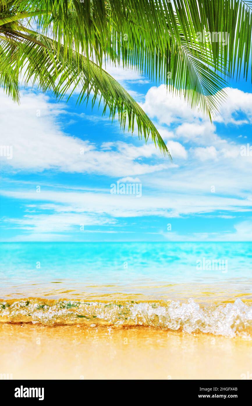 Tropical île paradisiaque plage nature, vague bleue de la mer, eau de l'océan, feuilles de cococotier vertes, sable jaune, soleil, ciel blanc nuages, vacances d'été Banque D'Images
