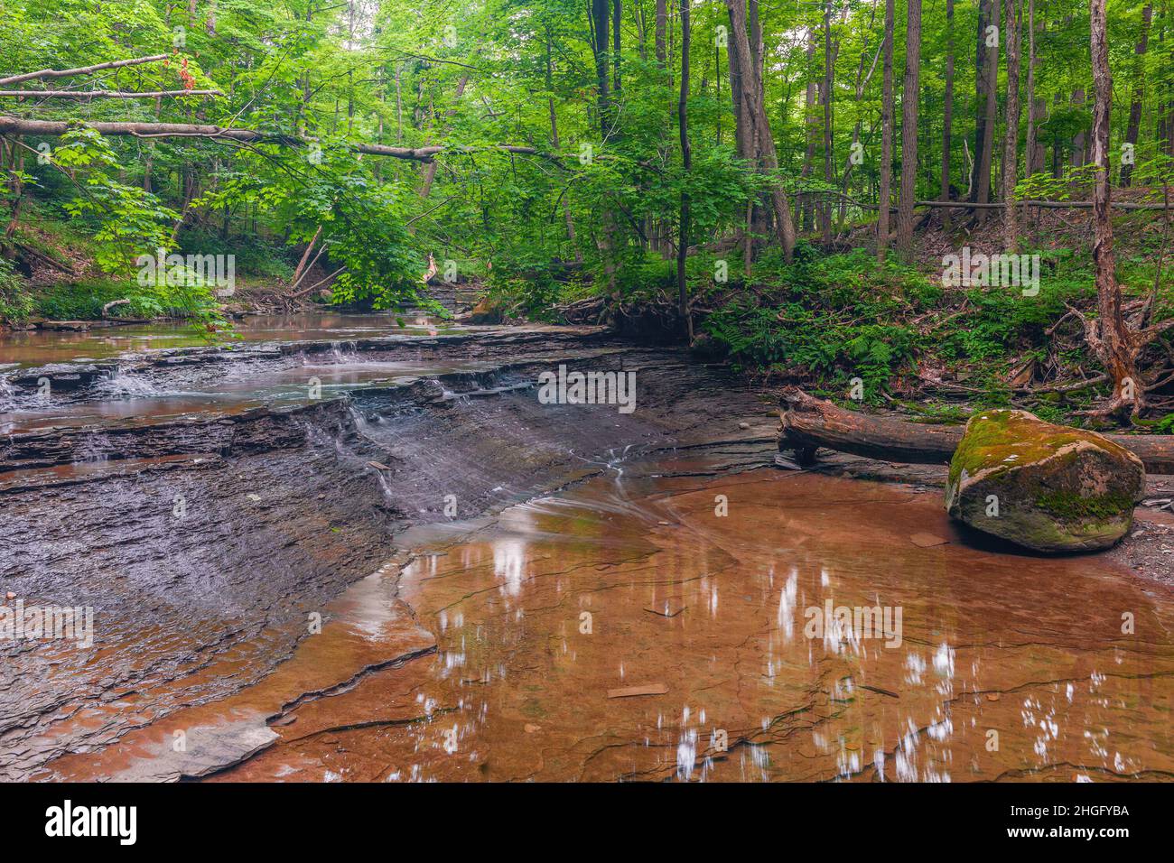 Petite cascade sur Deer Lick Creek juste en amont des chutes Bridal Veil.Parc national de Cuyahoga.Ohio.ÉTATS-UNIS Banque D'Images Petite cascade sur Deer Lick Creek juste en amont des chutes Bridal Veil.Parc national de Cuyahoga.Ohio.ÉTATS-UNIS Banque D'Images