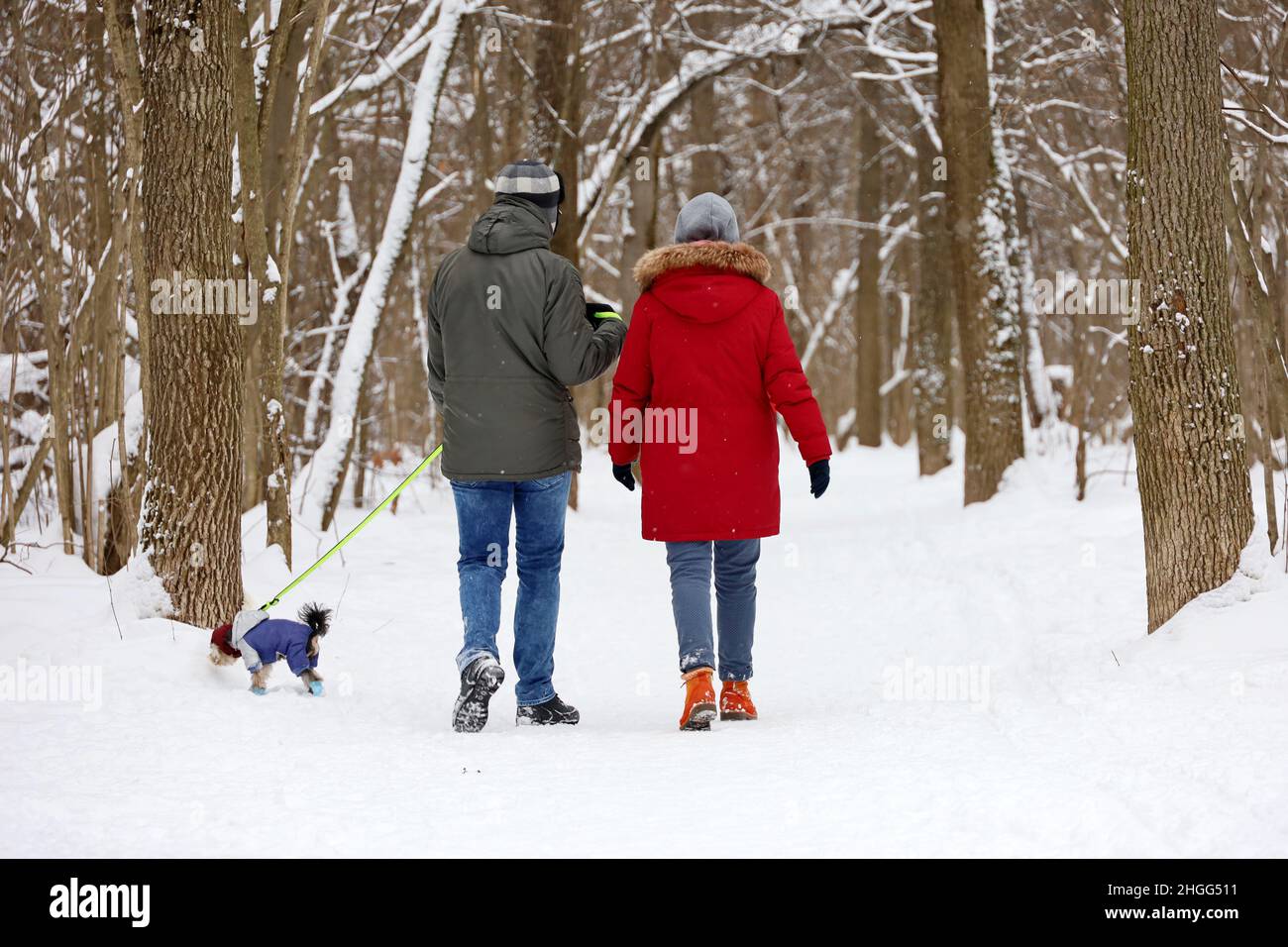 Couple marchant un chien dans le parc d'hiver.Concept de temps de neige froide, loisirs en famille Banque D'Images