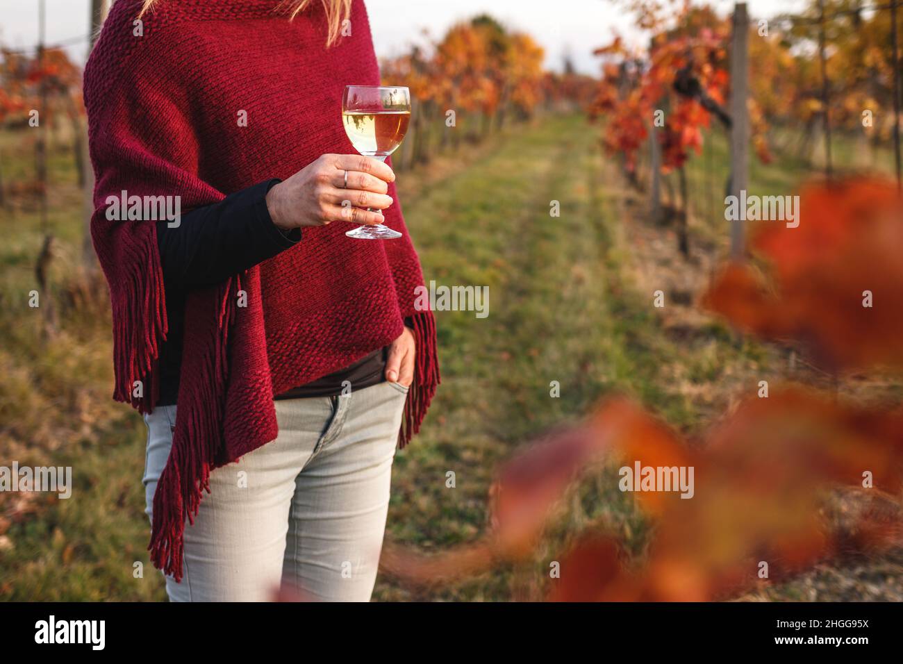 Femelle vigneron appréciant le vin blanc dans son vignoble.Femme avec poncho tricoté tenant un verre de vin à l'extérieur.Cave de vinification à l'automne Banque D'Images