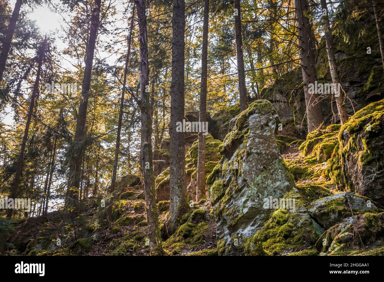 Grande roche de granit abîmé en forme de tête humaine avec les yeux oreilles bouche et nez surcultivé avec de la mousse sur la montagne Hoher Sachsen près de Grafena Banque D'Images