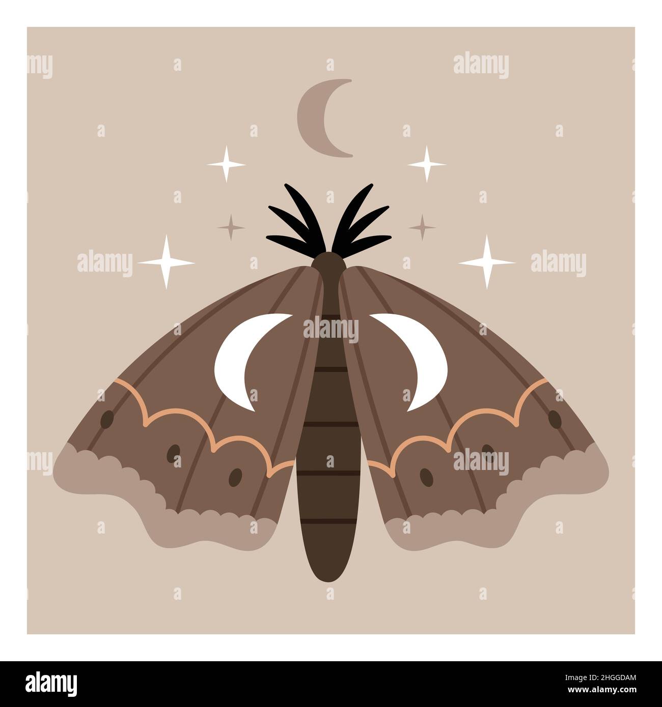 Magnifique papillon céleste dans des tons bruns.Illustration pour les affiches, les cartes et les invitations de pépinière pour enfants boho. Illustration de Vecteur