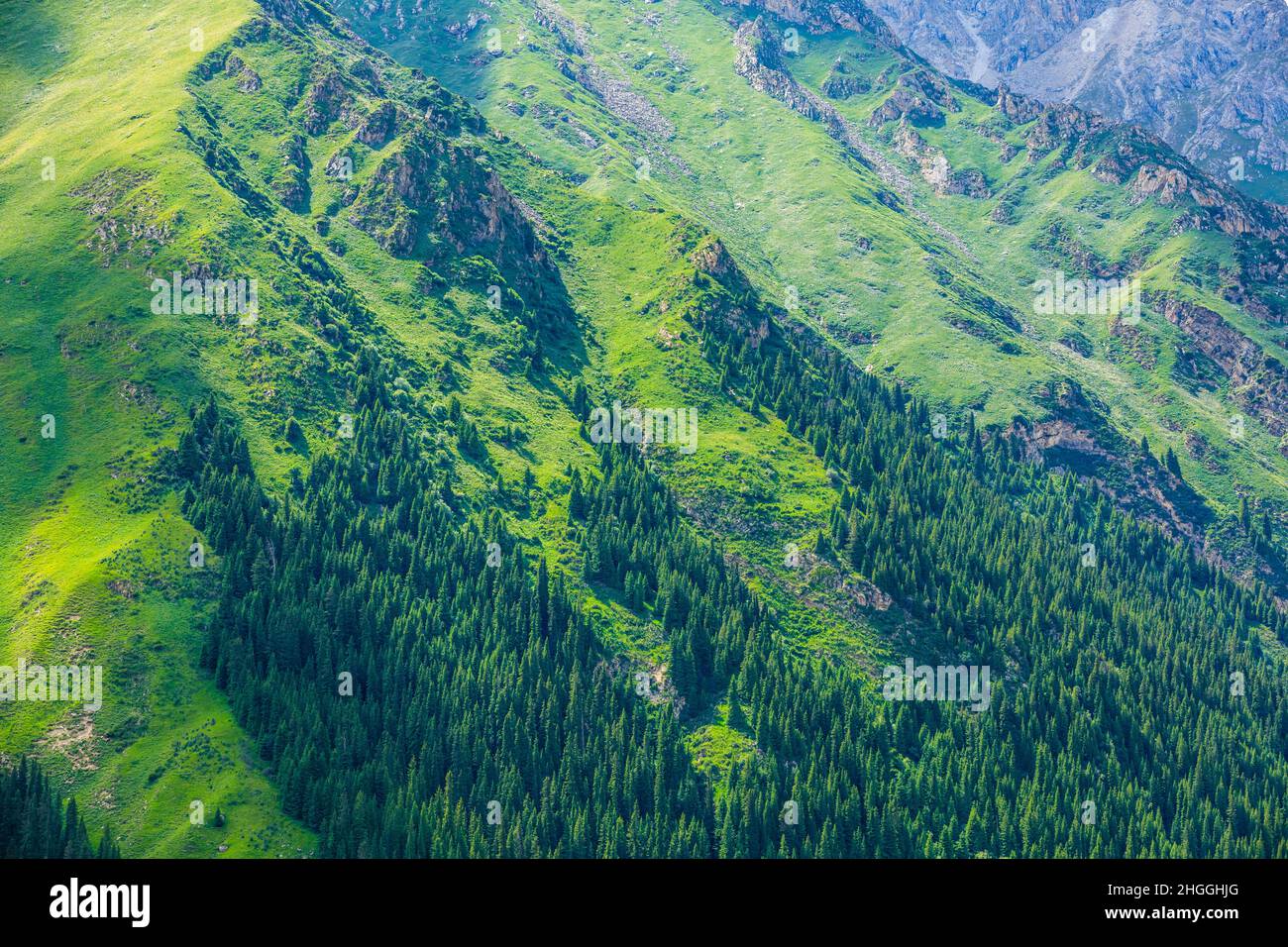 Paysage naturel de montagne verte dans Xinjiang. Banque D'Images
