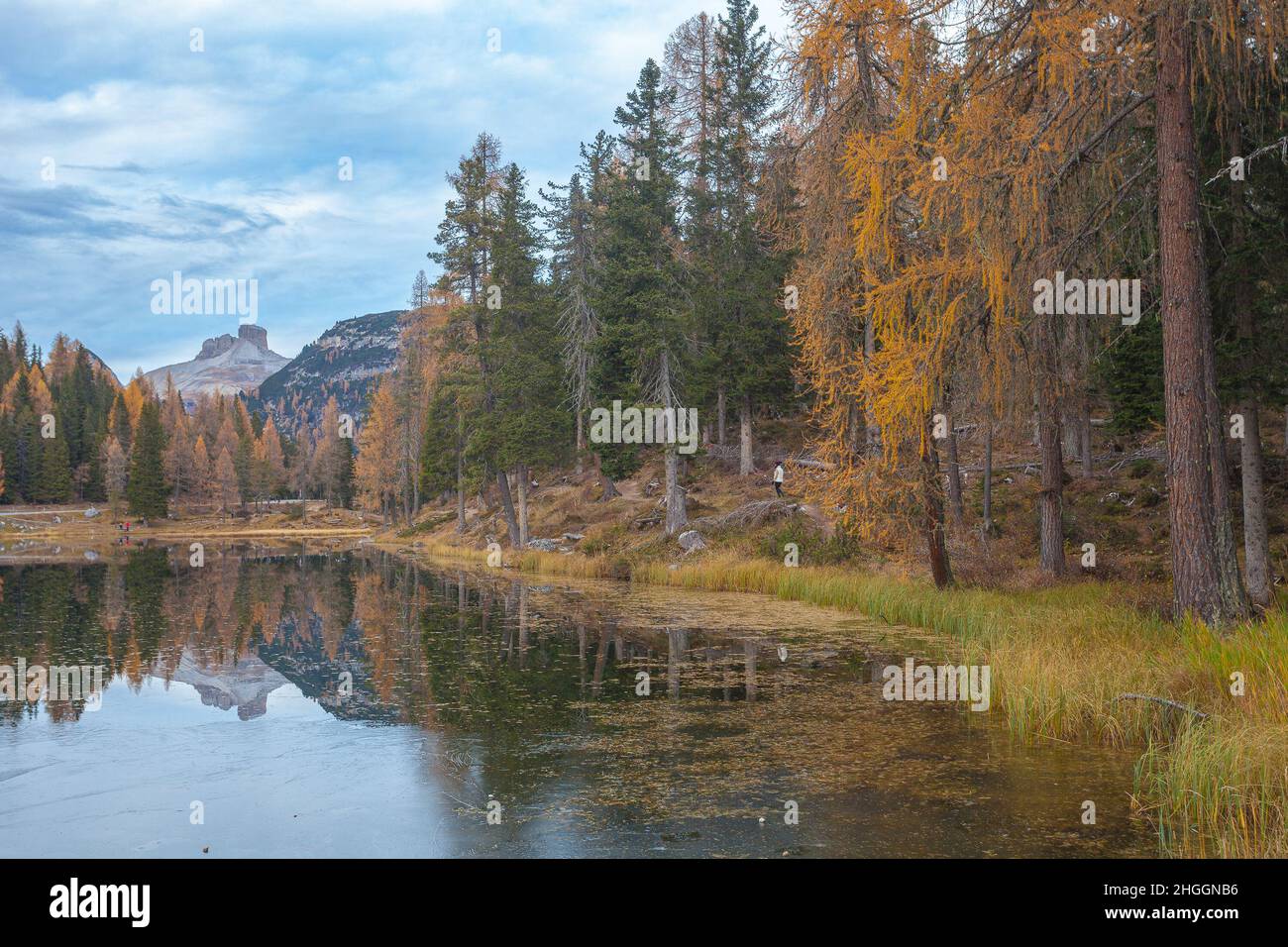 Forêt aux couleurs automnales autour d'un lac des Dolomites Banque D'Images