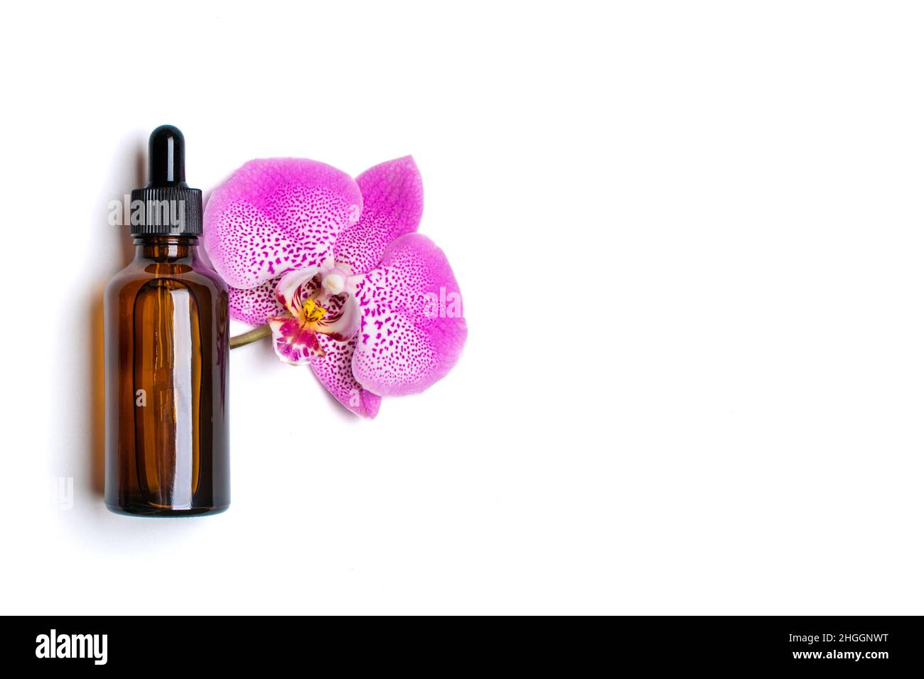 Bouteille cosmétique en verre avec huile naturelle hydratante, orchidée violette isolée sur fond blanc vue du dessus Flat Lay Eco, bio, zéro déchet, produit organique Banque D'Images