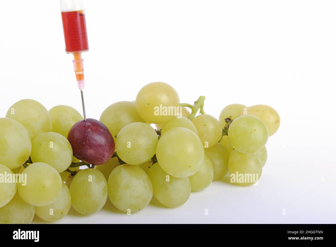 Seringue coincée dans le raisin rouge parmi les raisins verts, les raisins génétiques, l'image de symbole, les aliments génétiquement modifiés Banque D'Images