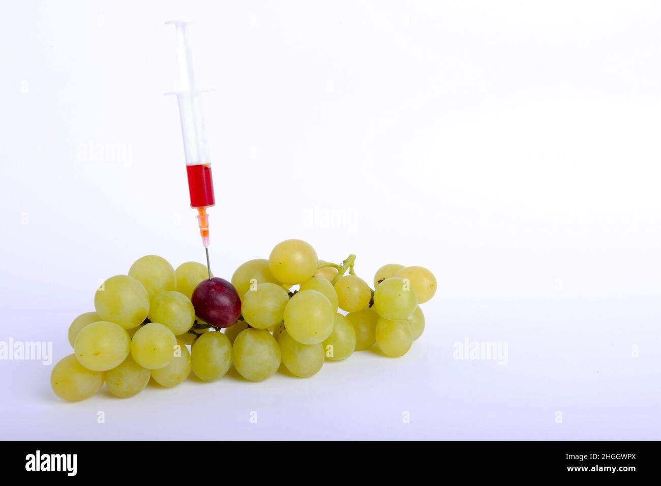 Seringue coincée dans le raisin rouge parmi les raisins verts, les raisins génétiques, l'image de symbole, les aliments génétiquement modifiés Banque D'Images