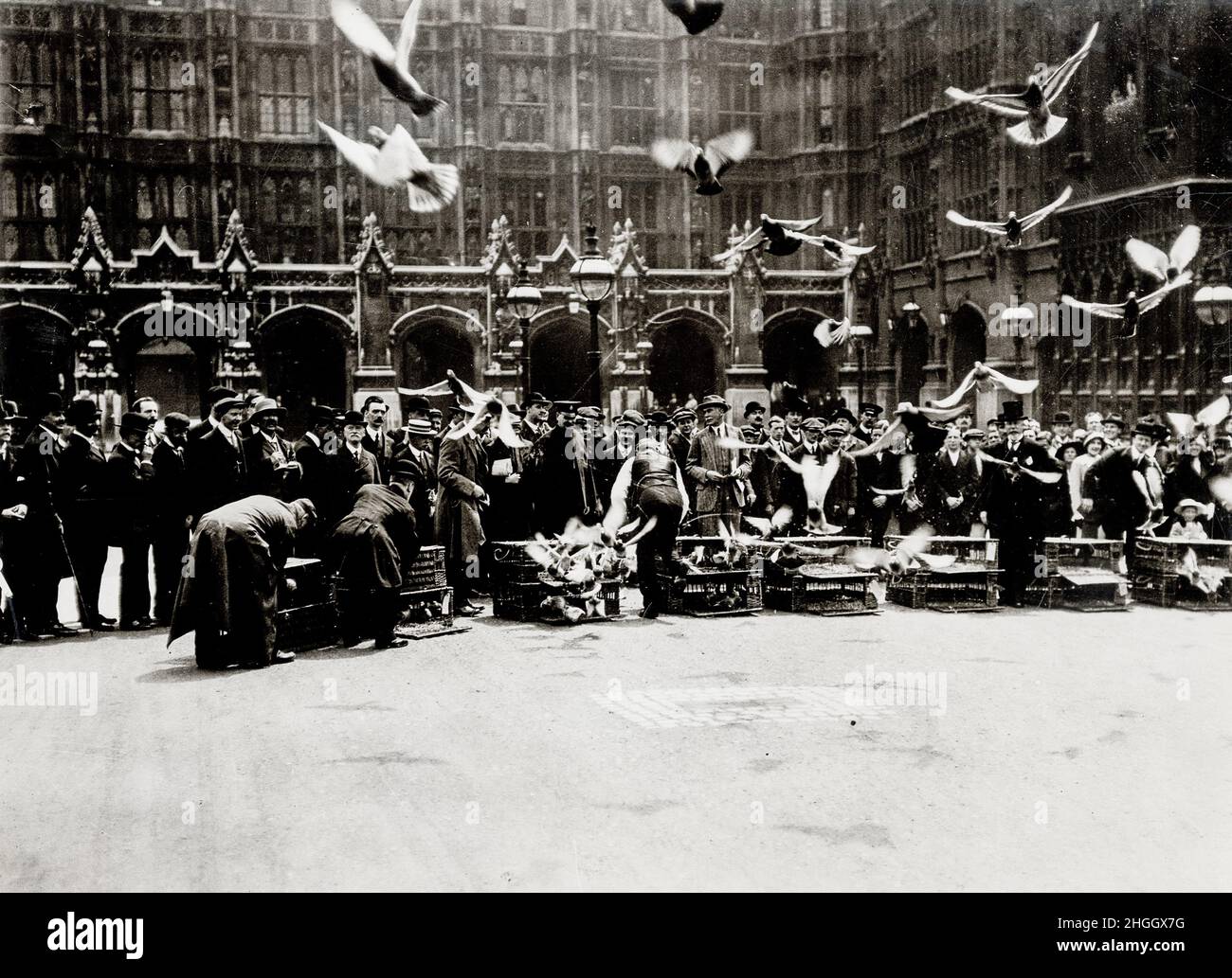 Imprimé de presse vintage du début du 20th siècle : course de pigeon des parlementaires, Westminster London Banque D'Images