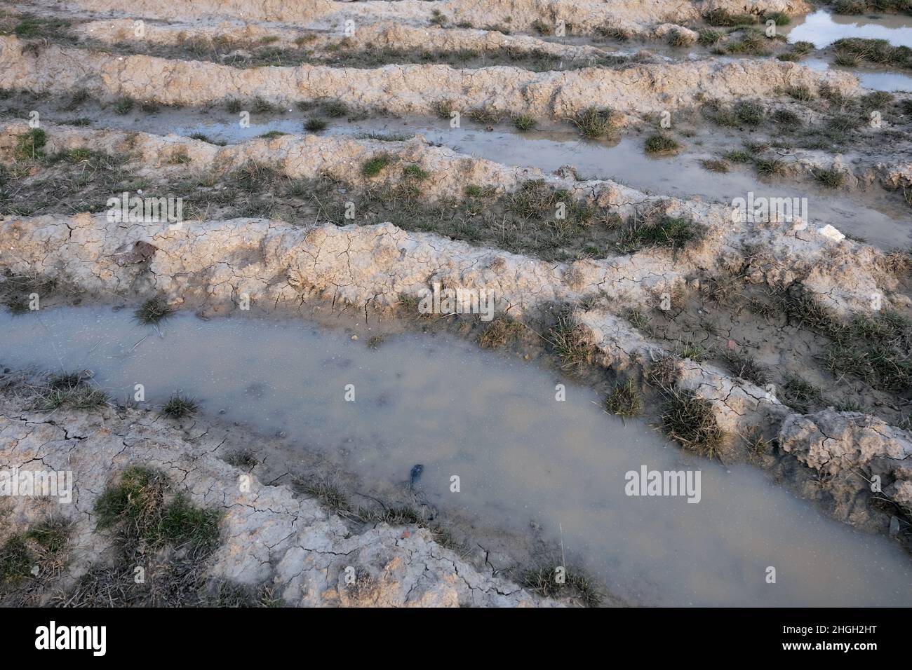 Terres arides. Soif. Banque D'Images