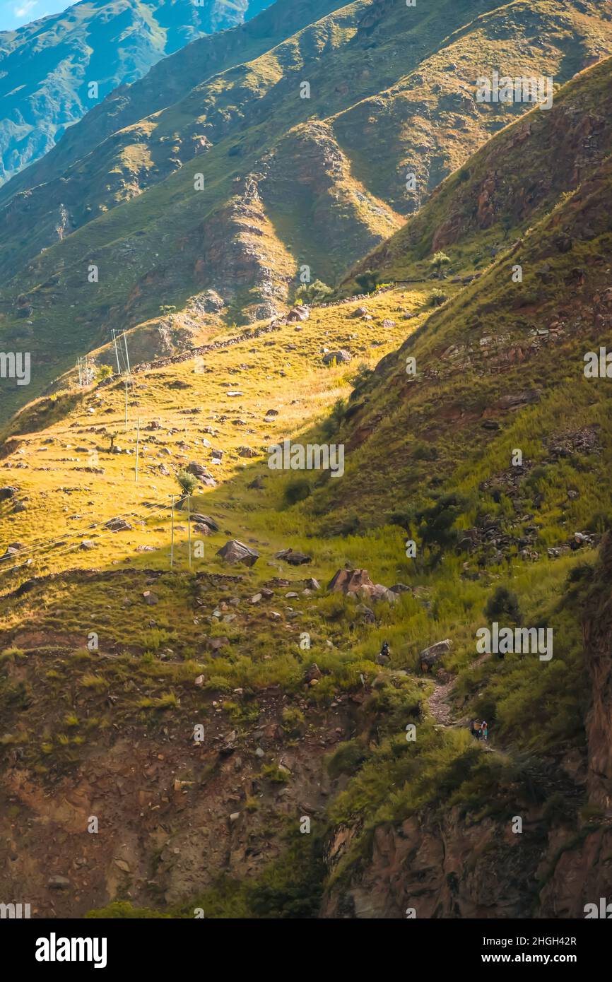 Green Grass Field & Mountain Banque D'Images