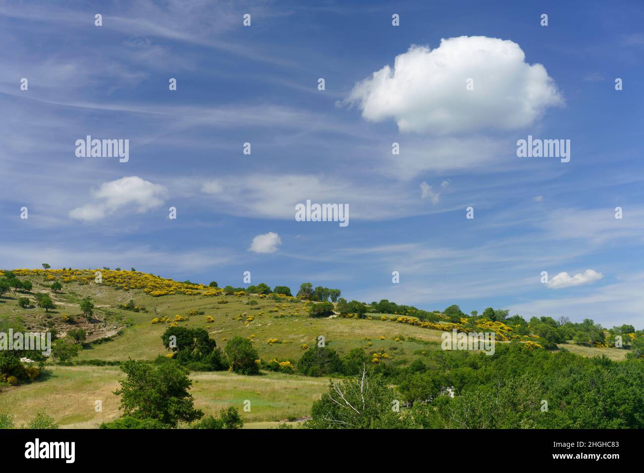 Paysage à Molise près de Macchiagodena et Frosolone, province d'Isernia, en juin Banque D'Images