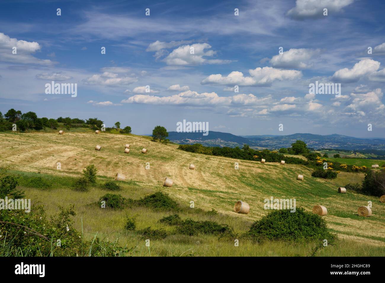 Paysage à Molise près de Macchiagodena et Frosolone, province d'Isernia, en juin Banque D'Images