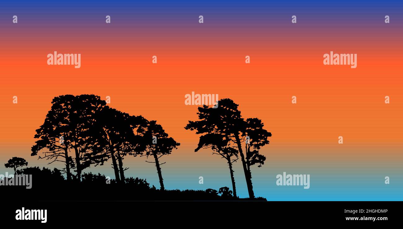 Silhouettes de pins au coucher du soleil.Nuit paysage sauvage avec des conifères et le soir ciel.bannière de forêt avec espace de copie.Crépuscule nature.vecteur Illustration de Vecteur