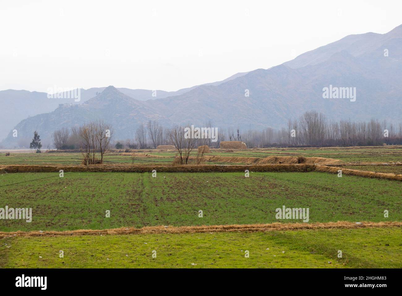 Magnifique paysage de champs dans un village en pluie Banque D'Images