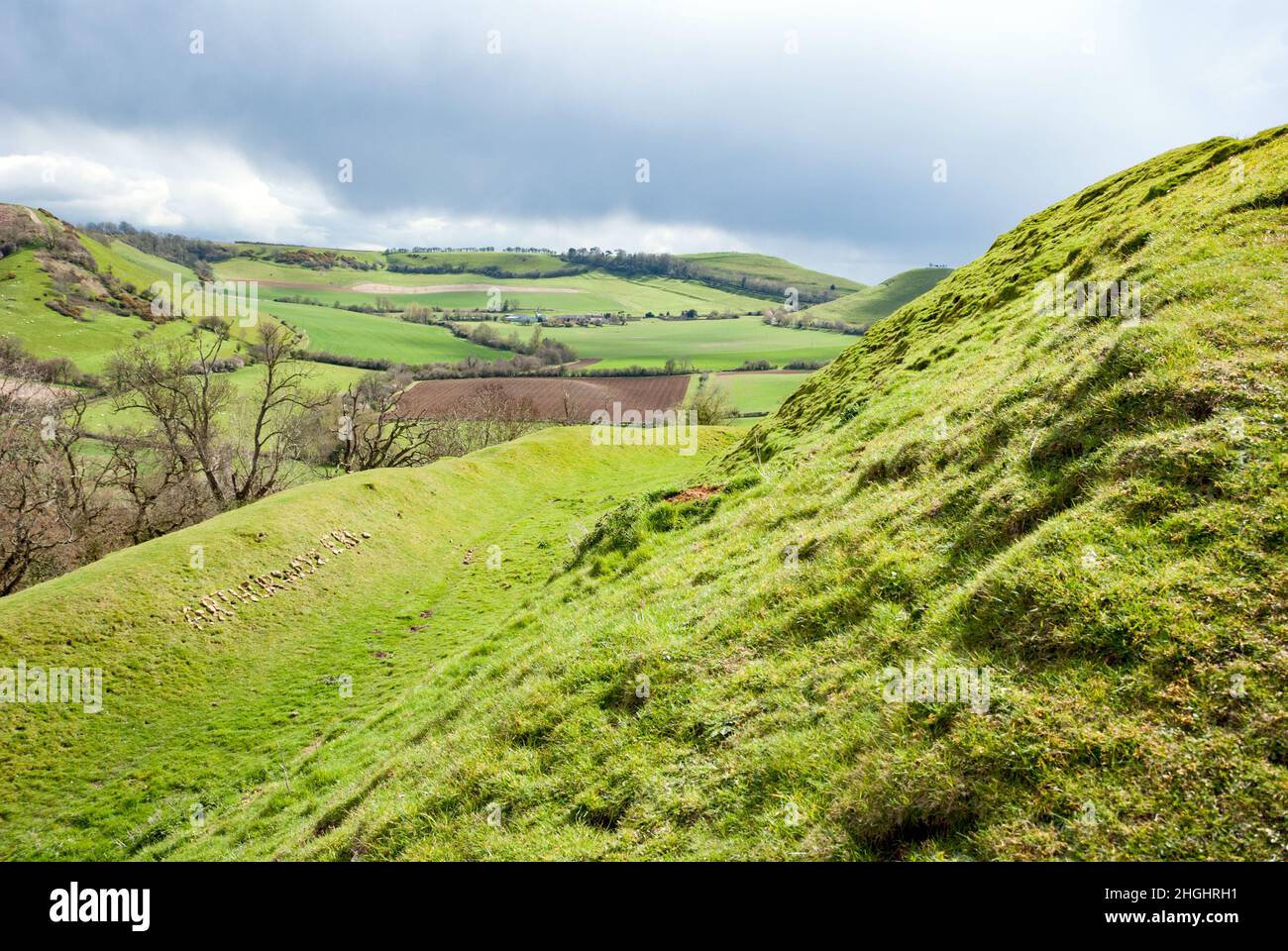 Royaume-Uni, Angleterre, Somerset, South Cadbury.Fort de la colline du château de Cadbury avec 'Arthur a été 'ere' écrit en pierres locales arrangées.Référencement de King Arthur. Banque D'Images Royaume-Uni, Angleterre, Somerset, South Cadbury.Fort de la colline du château de Cadbury avec 'Arthur a été 'ere' écrit en pierres locales arrangées.Référencement de King Arthur. Banque D'Images