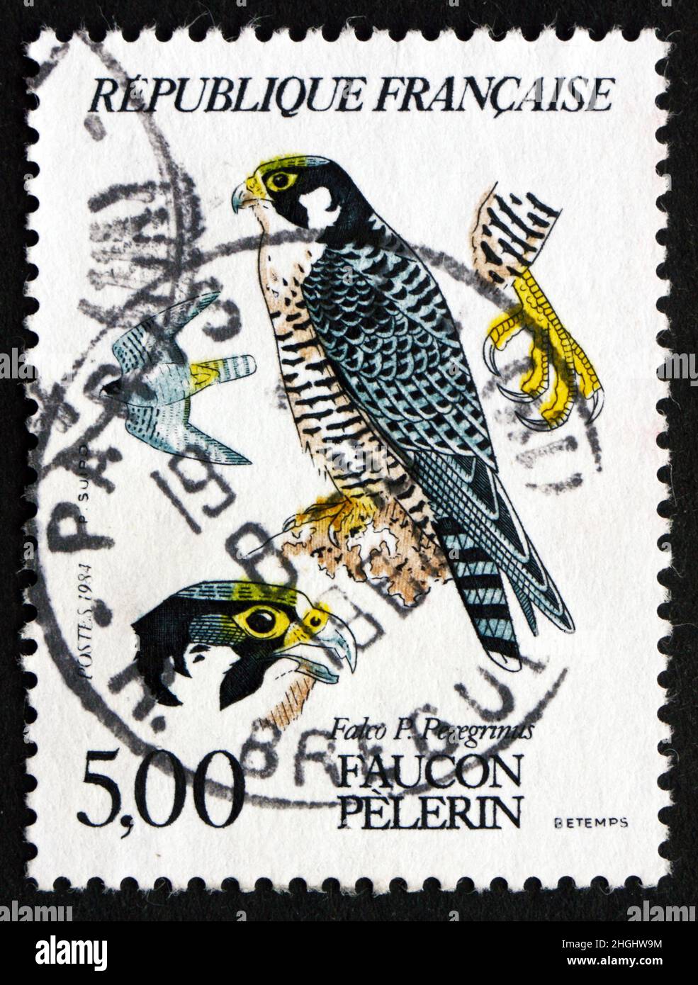 FRANCE - VERS 1984 : un timbre imprimé en France montre le Faucon pèlerin, Falco Peregrinus, oiseau de proie, vers 1984 Banque D'Images