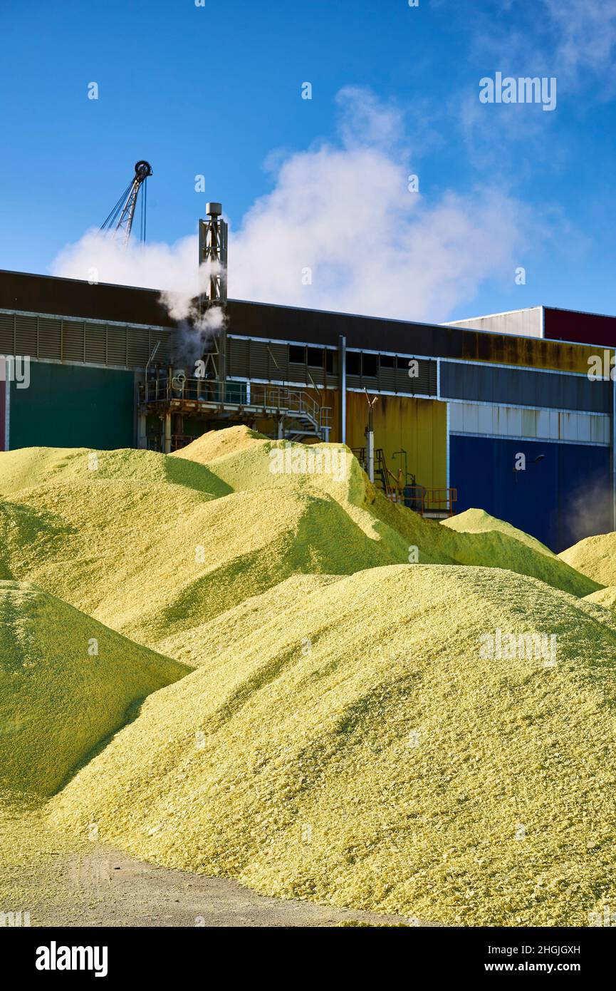 Pile jaune de soufre produite dans une installation industrielle Banque D'Images