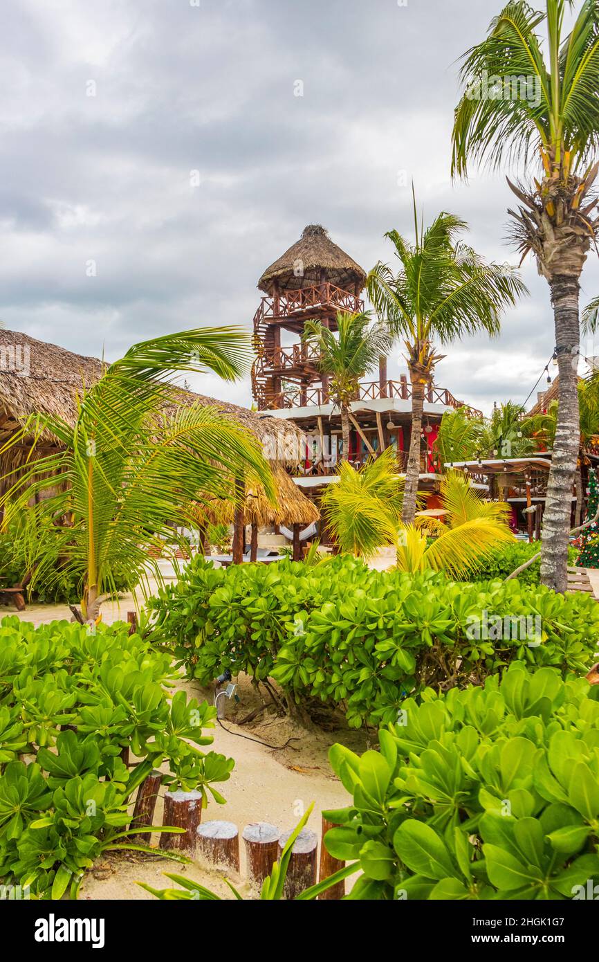 Resort et vue sur le paysage avec la nature tropicale sur la belle île Holbox dans Quintana Roo Mexique. Banque D'Images