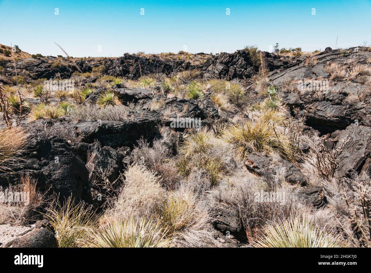 Lave durcie noire qui s'écoulait dans le bassin de Tularosa il y a 5 000 ans, formant le flux de lave de Malpais au Nouveau-Mexique, aux États-Unis Banque D'Images