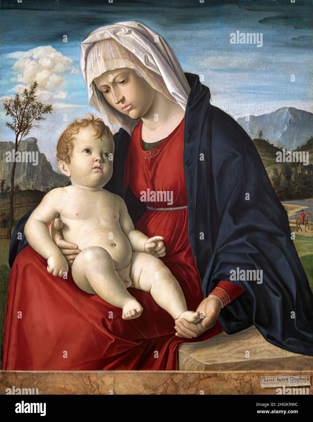 Madonna col bambino - huile sur bois 47,5 × 60,3 cm - mwxDa Conegliano Cima Banque D'Images