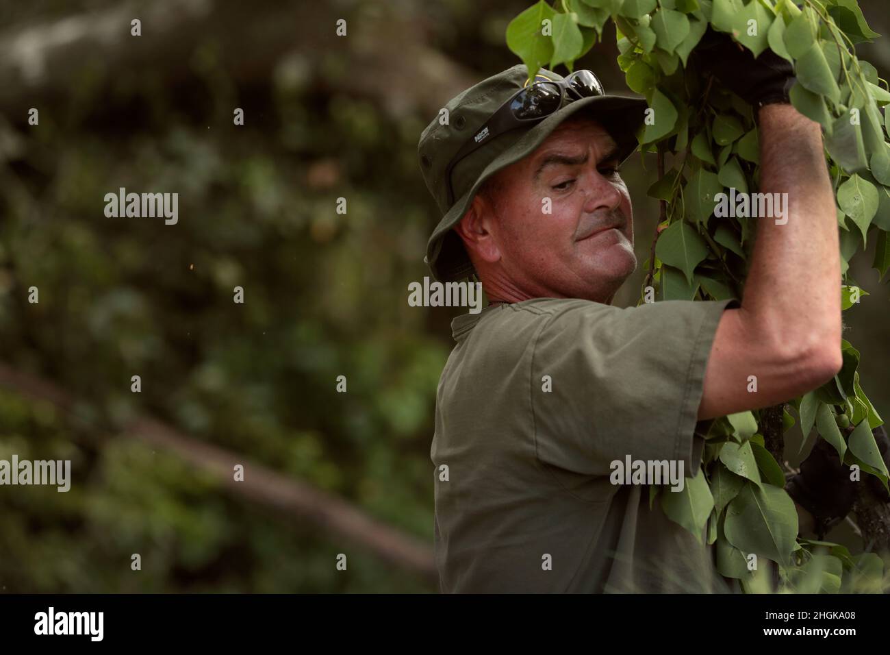 Un agent de la patrouille frontalière des États-Unis transporte des branches allant des arbres en aval à une pile dans une résidence à la suite de l'ouragan Ida près de Baton Rouge, en Louisiane, le 31 août 2021.Photo CBP par Glenn Fawcett Banque D'Images