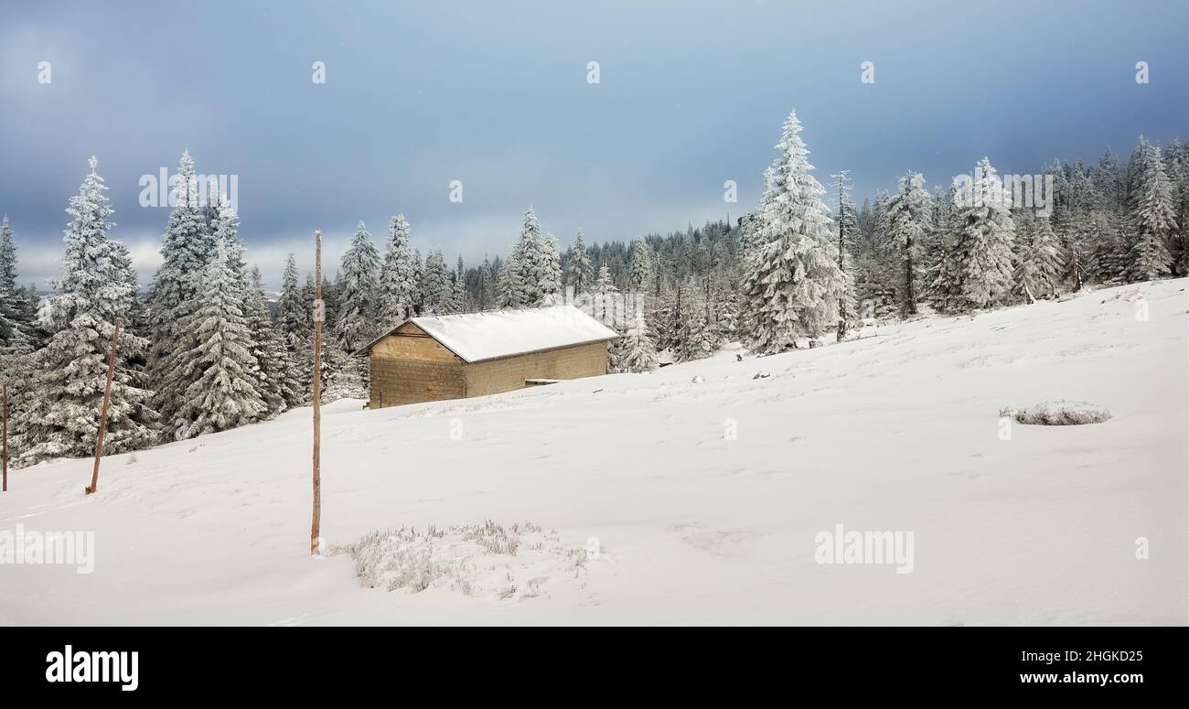 Magnifique paysage de montagne d'hiver, parc national de Karkonosze, Pologne. Banque D'Images