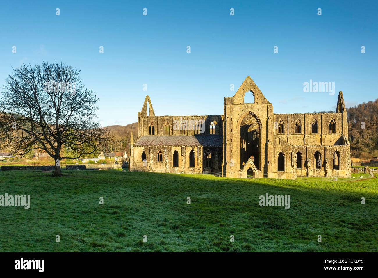 Editorial Tintern, Royaume-Uni - 19 avril 2022 : Abbaye de Tintern construite sur le côté gallois de la rivière Wye, en bordure du Montockshire au pays de Galles et du Gloucestershire au pays de Galles Banque D'Images