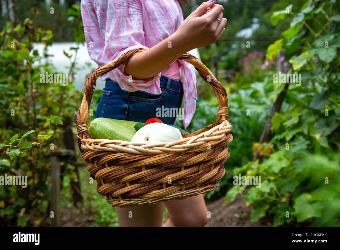 une femme sans visage garde le panier avec des légumes frais dans son jardin Banque D'Images