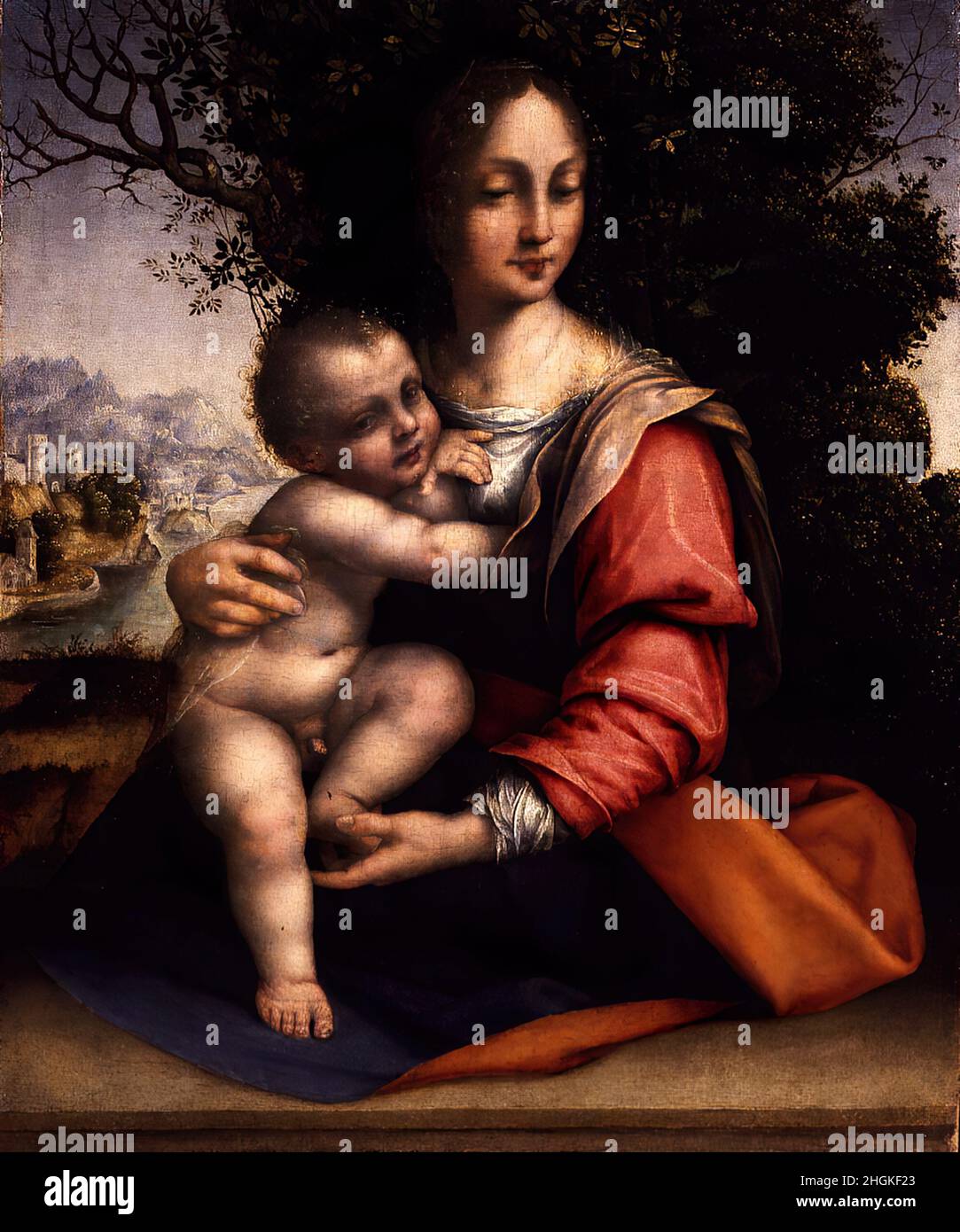 Madonna con il Bambino - Madonna dell’Albero - 1512 20 - huile sur bois 46 x 36 cm - sl10Da Sesto Cesare Banque D'Images