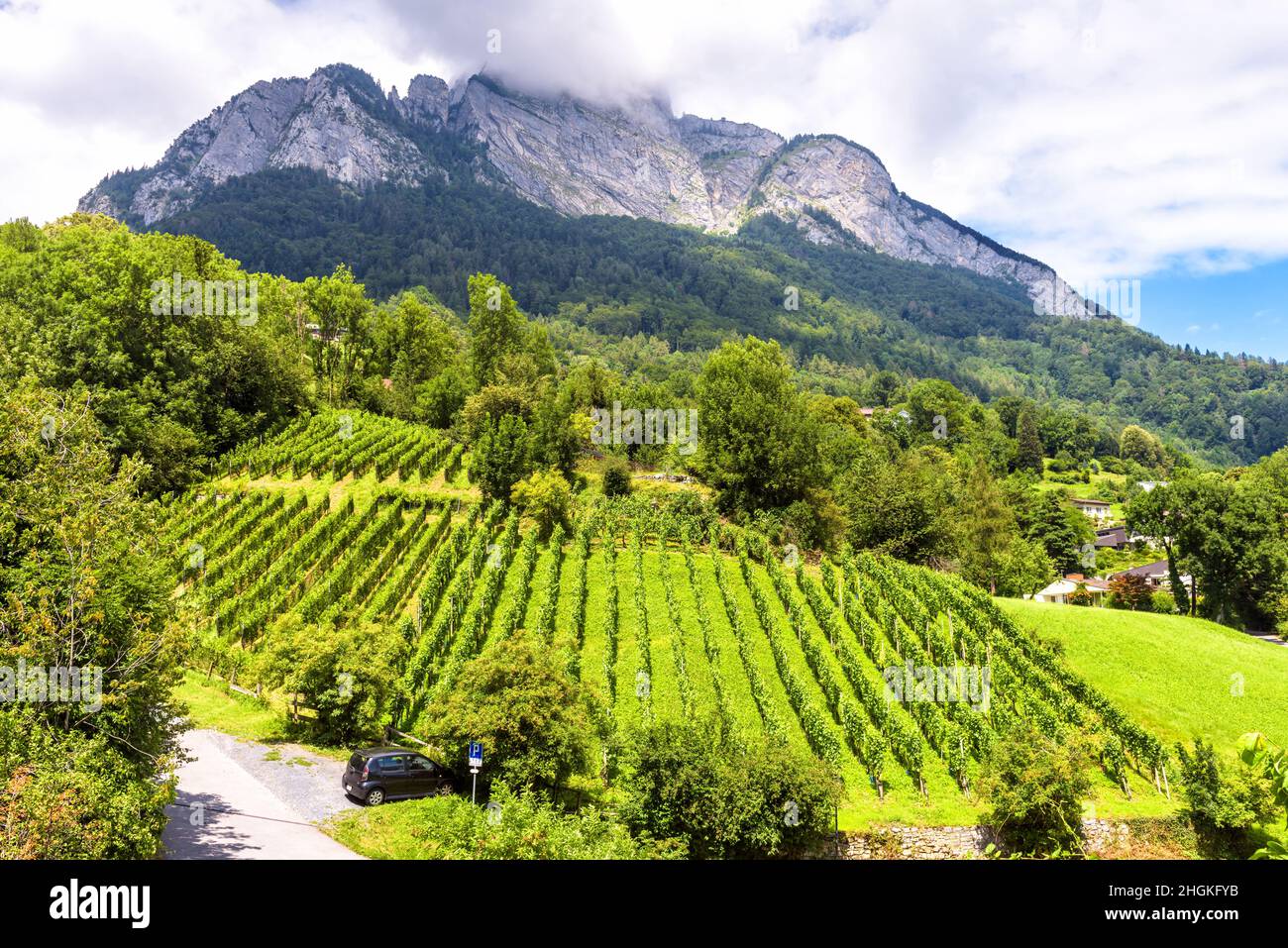 Vignoble surplombant la montagne, Europe.Paysage alpin avec plantation de vignes et village en été.Vue panoramique sur le vignoble à la campagne.Concept de Banque D'Images