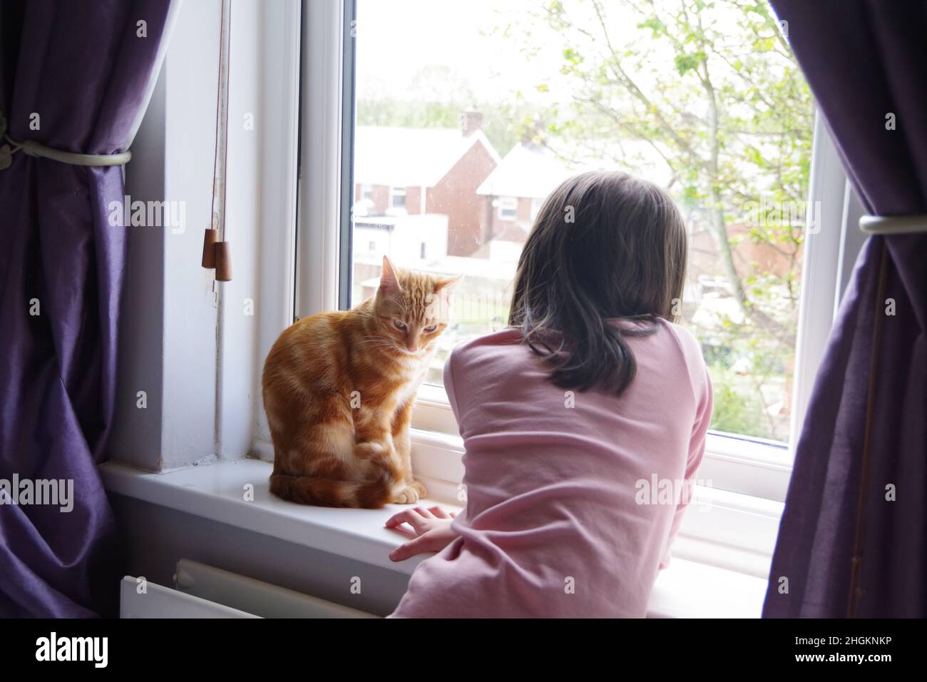 Un joli chat de tabby au gingembre explorant un arbre et une plante Banque D'Images