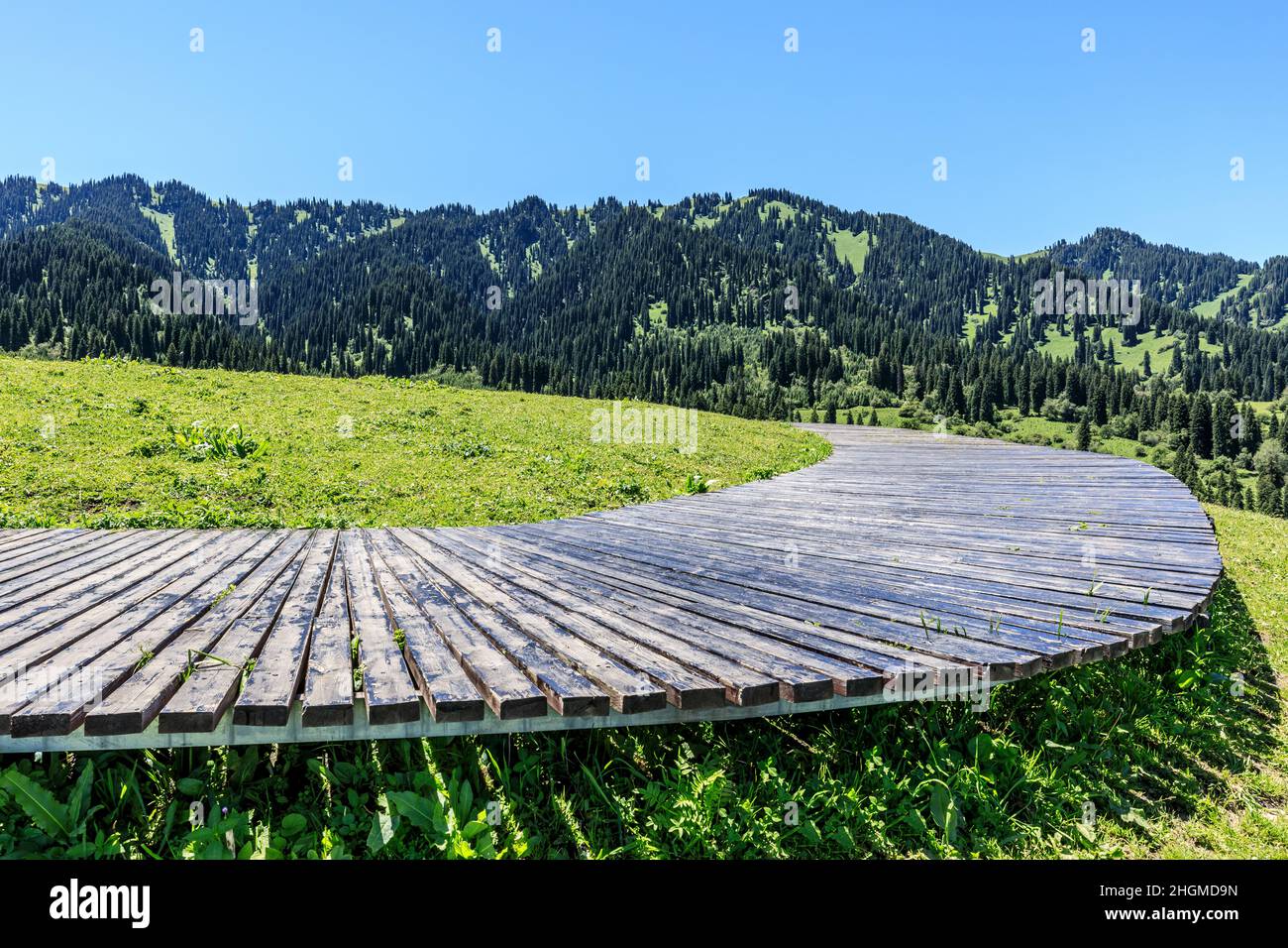 Promenade et montagne verte avec forêt sous ciel bleu Banque D'Images