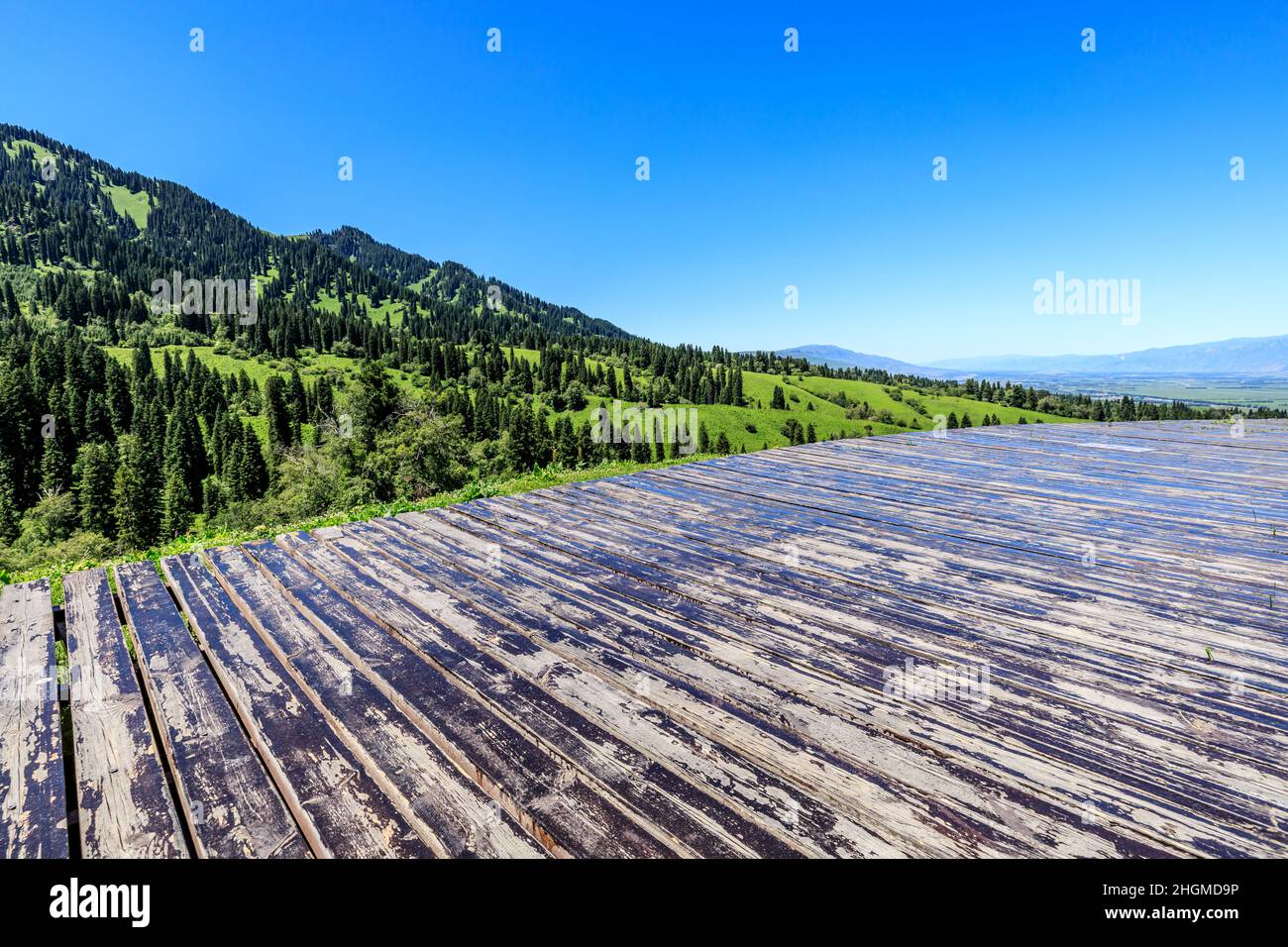 Promenade et montagne verte avec forêt sous ciel bleu Banque D'Images