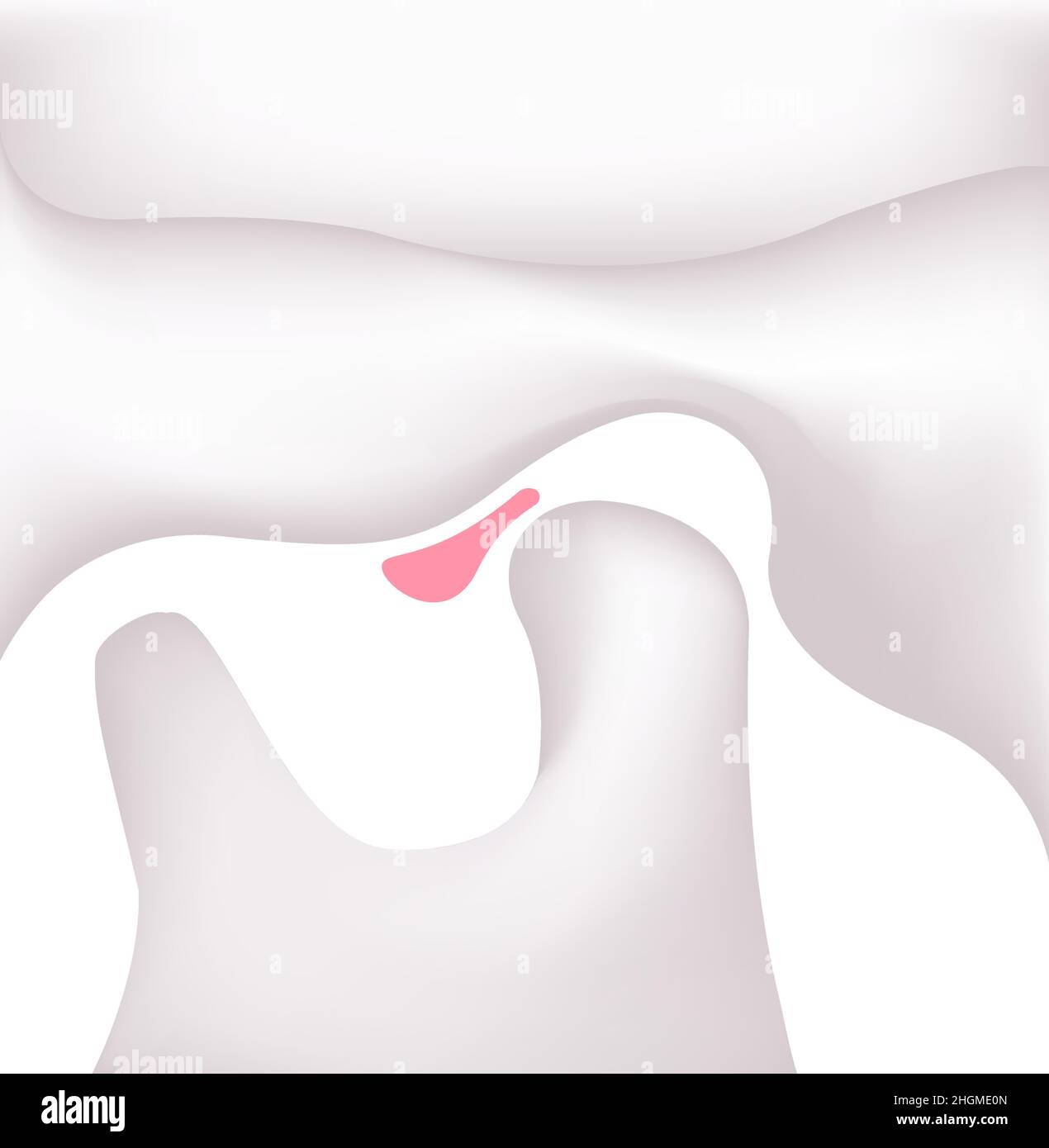 Illustration structurale de la mâchoire humaine (troubles temporomandibulaires , TMD) Illustration de Vecteur