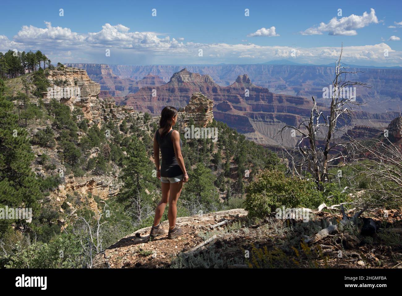 Un randonneur féminin prend la vue depuis le plateau nord du Grand Canyon à Widforss point Banque D'Images