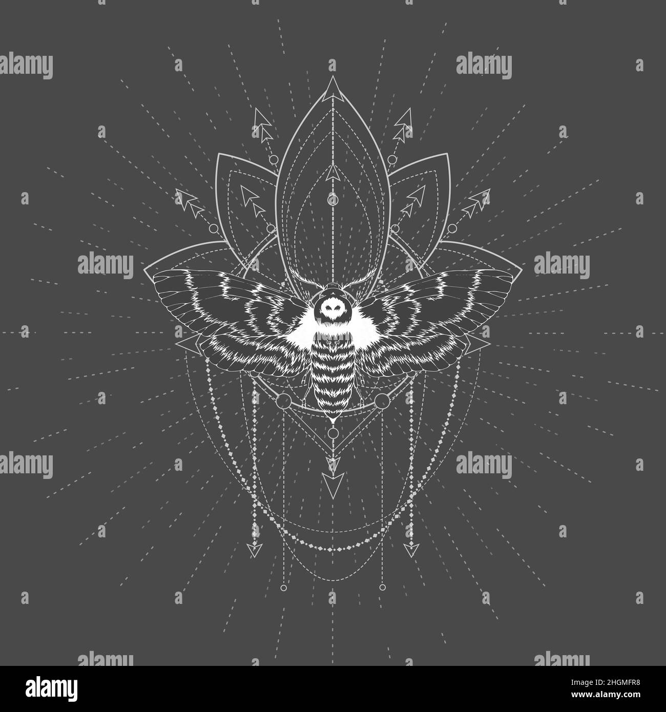 Illustration vectorielle avec papillon dessiné à la main tête morte et symbole géométrique Sacré sur fond noir.Signe mystique abstrait.Forme linéaire blanche. Illustration de Vecteur