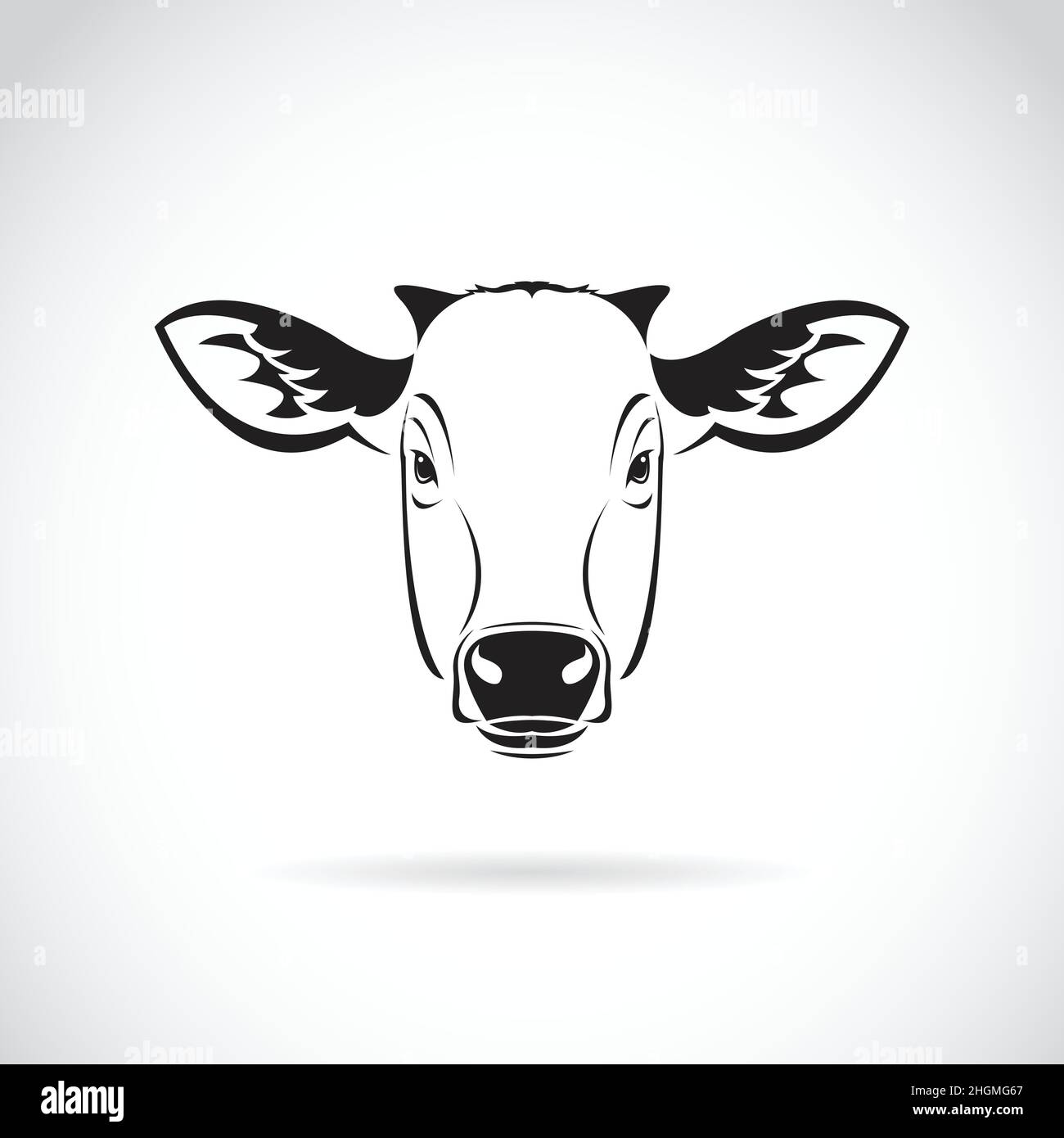 Vecteur d'une tête de vache sur fond blanc.Animal de ferme.Illustration vectorielle superposée facile à modifier. Illustration de Vecteur