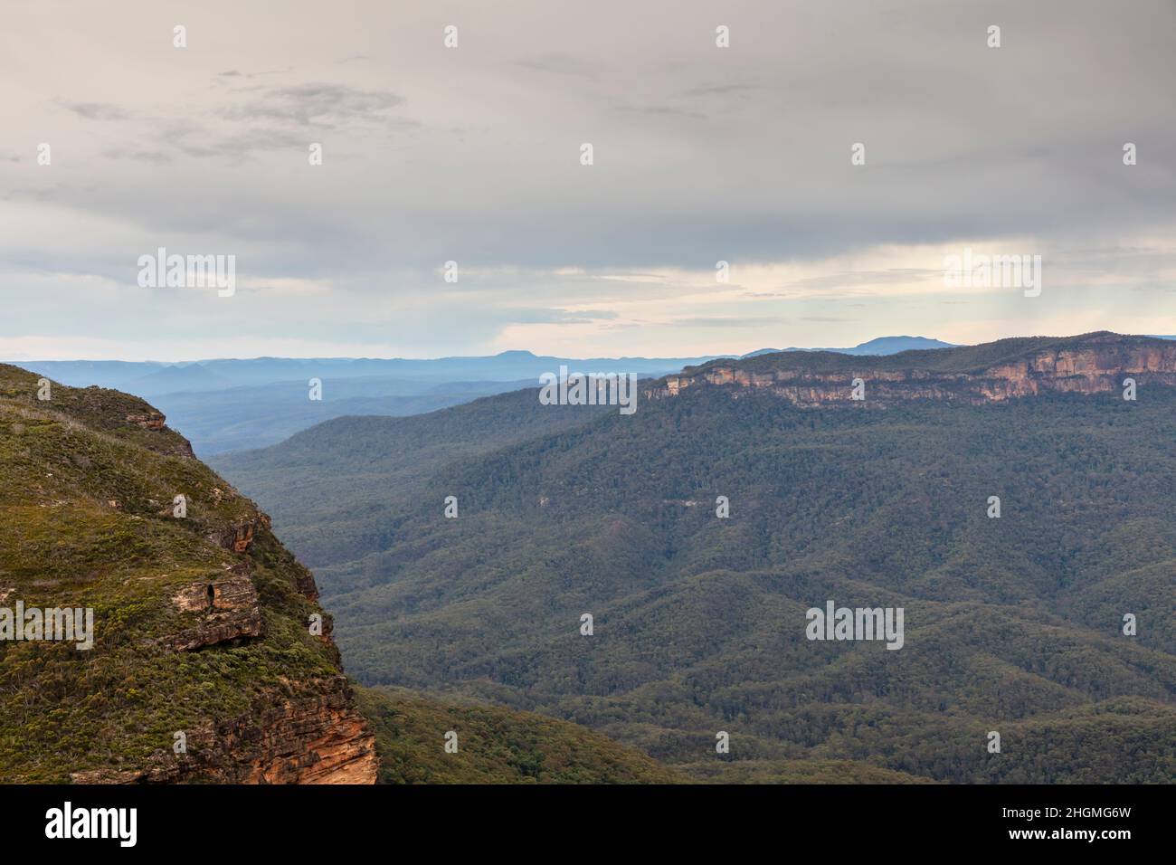 Photographie de gommiers et de forêts de Kings Tableland dans la Jamison Valley, dans le parc national des Blue Mountains, en Nouvelle-Galles du Sud, en Australie Banque D'Images