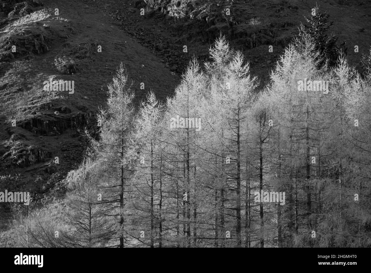 Noir et blanc paysage épique de lumière de lever de soleil sur Blea Tarn dans le Lake District avec une lumière étonnante sur les montagnes lointaines Banque D'Images