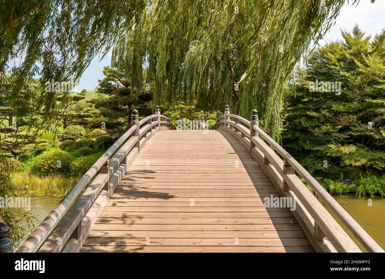 Pont en bois à l'île japonaise dans le jardin botanique de Chicago, États-Unis Banque D'Images